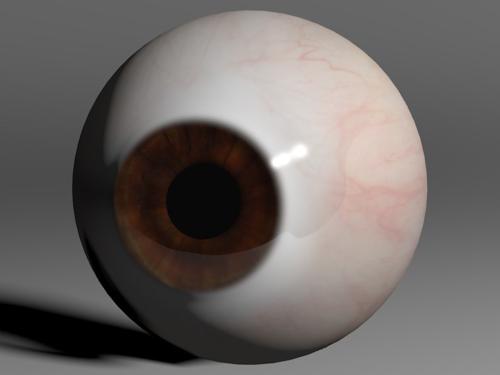 Realistic Human Eyeball (Brown) preview image